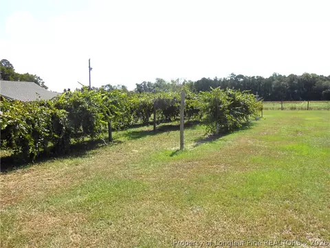 Exterior - 644 Lamb Rd, Lumberton, NC 28358 photo 10 of 11