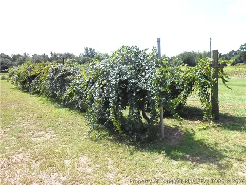 Other - 644 Lamb Rd, Lumberton, NC 28358 photo 6 of 20