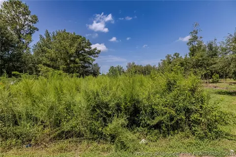 546 Pearsall Rd, Red Springs, NC 28377