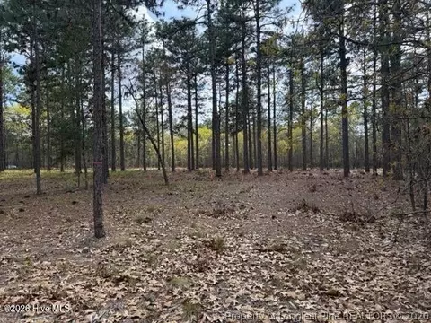 Other - 27 Birkdale Way, Pinehurst, NC 28374 photo 14 of 18