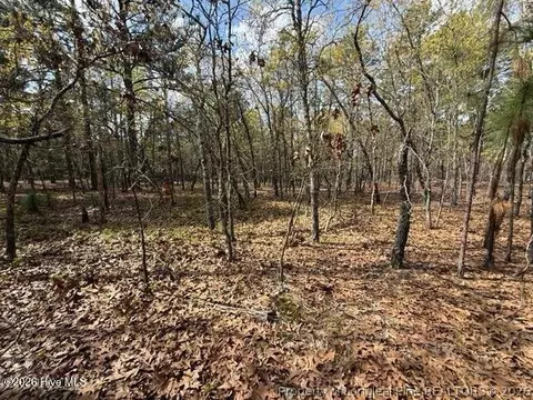 Other - 27 Birkdale Way, Pinehurst, NC 28374 photo 6 of 18