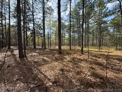 Other - 27 Birkdale Way, Pinehurst, NC 28374 photo 8 of 18