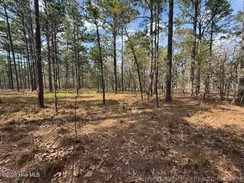 Other - 27 Birkdale Way, Pinehurst, NC 28374 photo 9 of 18