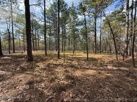 Other - 27 Birkdale Way, Pinehurst, NC 28374 photo 10 of 18