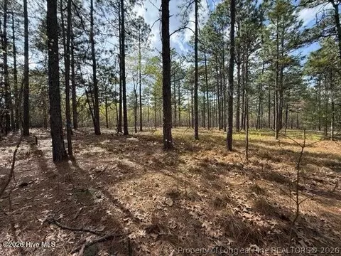 Other - 27 Birkdale Way, Pinehurst, NC 28374 photo 8 of 18