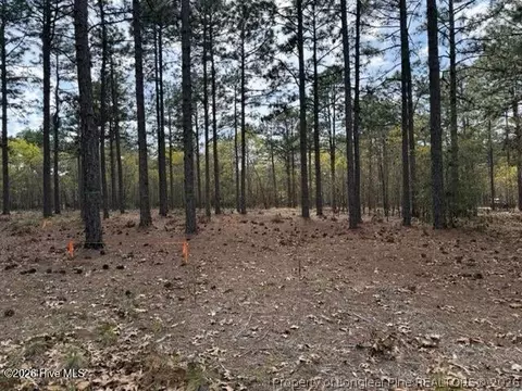 Other - 27 Birkdale Way, Pinehurst, NC 28374 photo 15 of 18