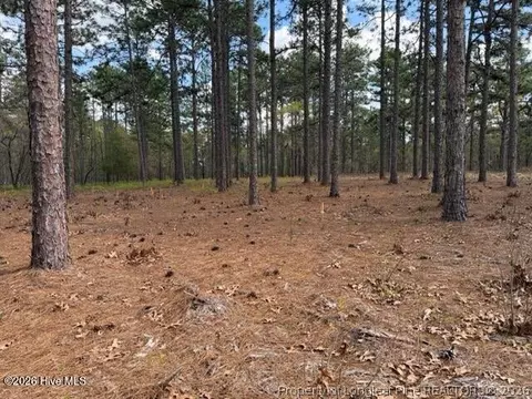 Other - 27 Birkdale Way, Pinehurst, NC 28374 photo 17 of 18