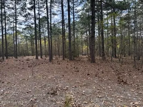 Other - 27 Birkdale Way, Pinehurst, NC 28374 photo 16 of 18