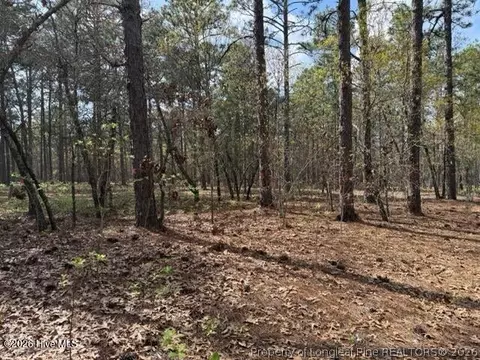 Other - 27 Birkdale Way, Pinehurst, NC 28374 photo 11 of 18