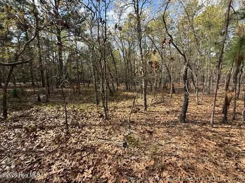 Other - 27 Birkdale Way, Pinehurst, NC 28374 photo 6 of 18