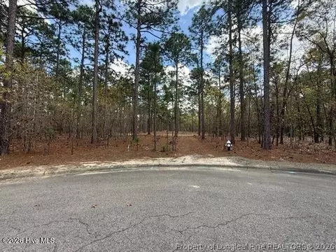 Other - 27 Birkdale Way, Pinehurst, NC 28374 photo 4 of 18