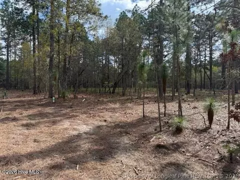 Other - 27 Birkdale Way, Pinehurst, NC 28374 photo 13 of 18