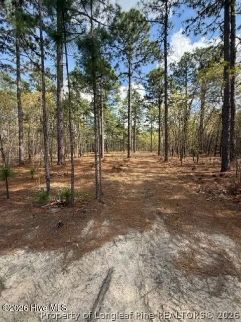 Other - 27 Birkdale Way, Pinehurst, NC 28374 photo 5 of 18