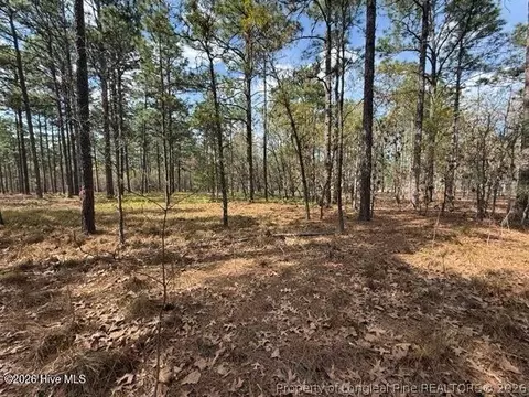 Other - 27 Birkdale Way, Pinehurst, NC 28374 photo 9 of 18