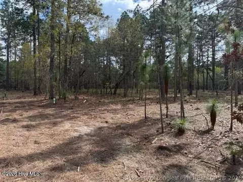 Other - 27 Birkdale Way, Pinehurst, NC 28374 photo 13 of 18