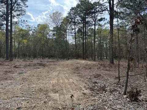 Other - 27 Birkdale Way, Pinehurst, NC 28374 photo 18 of 18