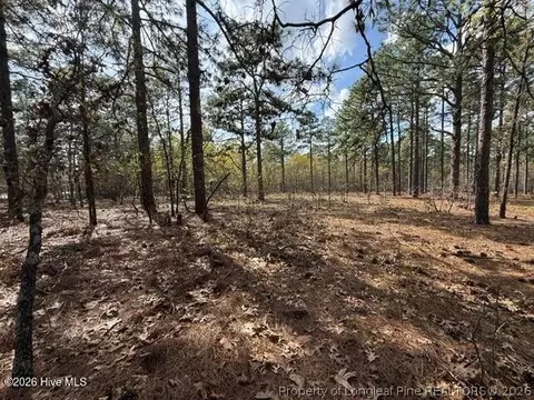 Other - 27 Birkdale Way, Pinehurst, NC 28374 photo 7 of 18