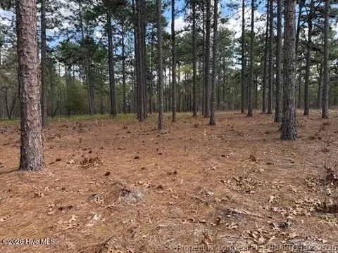 Other - 27 Birkdale Way, Pinehurst, NC 28374 photo 17 of 18
