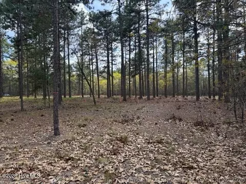 Other - 27 Birkdale Way, Pinehurst, NC 28374 photo 14 of 18