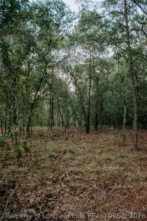 lot3 Tbd Nighthawk Loop, Aberdeen, NC 28315 photo 7