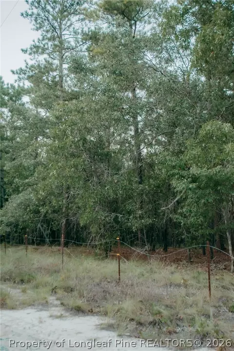 lot3 Tbd Nighthawk Loop, Aberdeen, NC 28315 photo 5