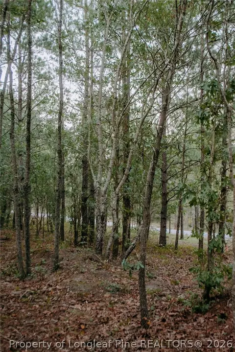 lot3 Tbd Nighthawk Loop, Aberdeen, NC 28315 photo 4