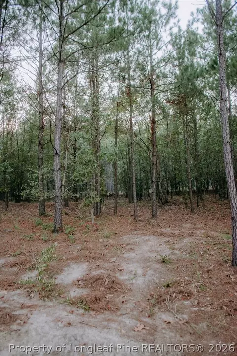 lot3 Tbd Nighthawk Loop, Aberdeen, NC 28315 photo 3