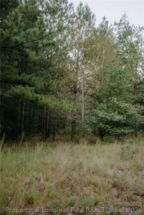 lot3 Tbd Nighthawk Loop, Aberdeen, NC 28315 photo 6