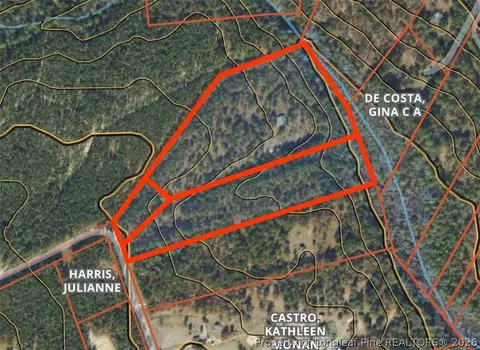 lot3 Tbd Nighthawk Loop, Aberdeen, NC 28315 photo 8
