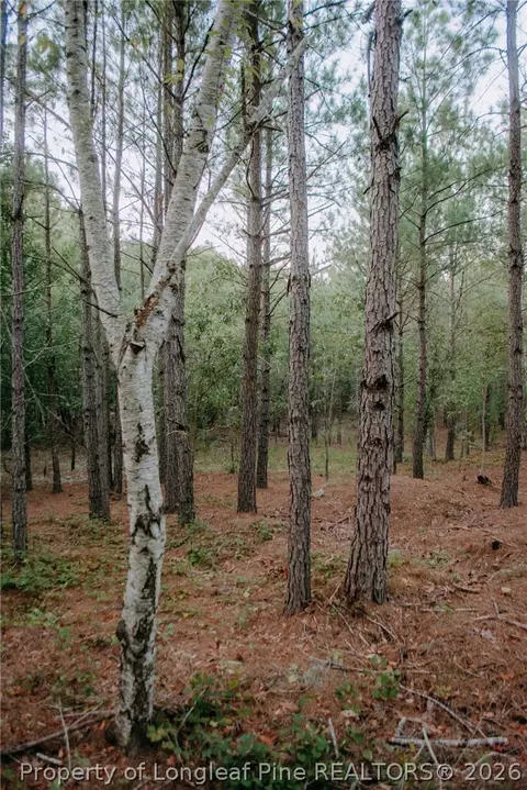 lot3 Tbd Nighthawk Loop, Aberdeen, NC 28315 photo 2