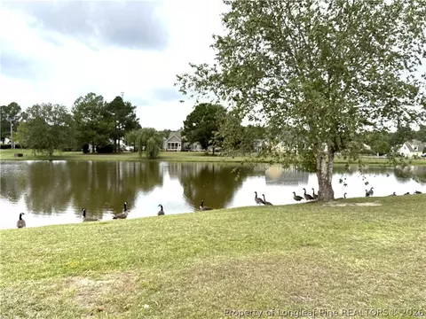 View/Area - 38 Saw Grass Ct, Bunnlevel, NC 28323 photo 1 of 2