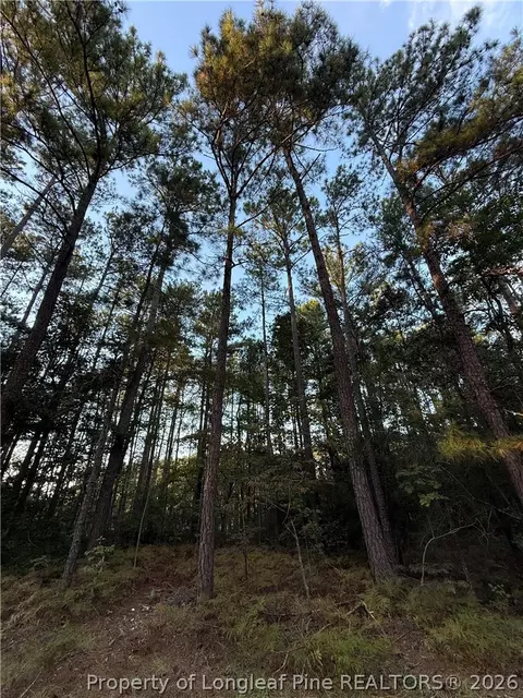 00000 Bee Tree Ln, Wagram, NC 28396 photo 5