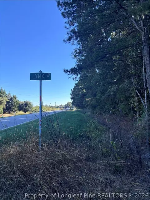 Lynx Lane, Hobgood, NC 27874