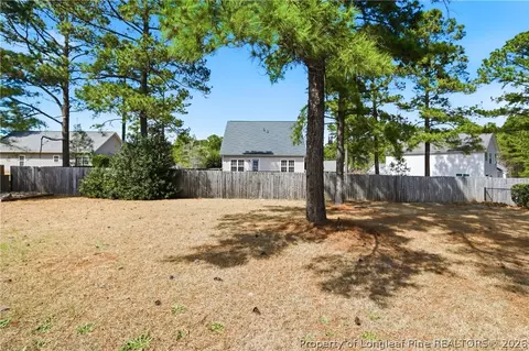 Exterior - 427 Basket Oak Dr, Bunnlevel, NC 28323 photo 6 of 6