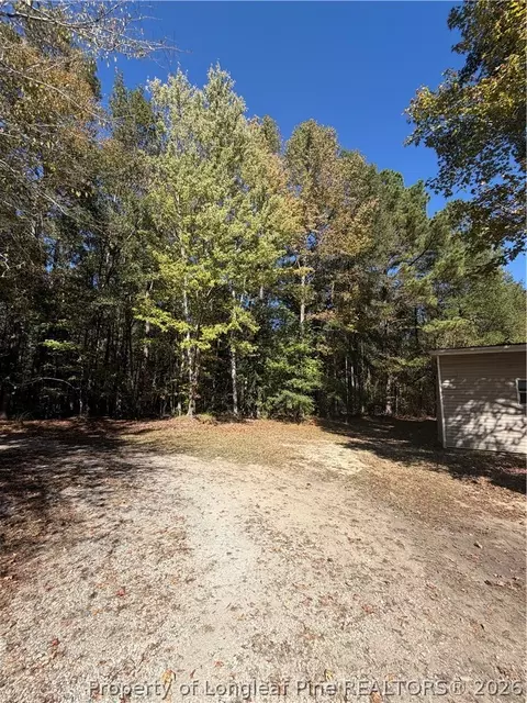 Exterior - 4307 Bunnlevel Erwin Rd, Erwin, NC 28339 photo 8 of 9