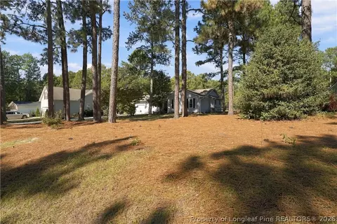 Exterior - 190 Firetree Ln, West End, NC 27376 photo 3 of 14