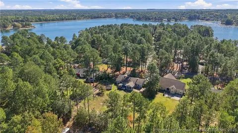 View/Area - 190 Firetree Ln, West End, NC 27376 photo 4 of 4
