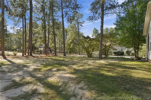 Exterior - 190 Firetree Ln, West End, NC 27376 photo 10 of 14