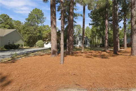 Exterior - 190 Firetree Ln, West End, NC 27376 photo 9 of 14