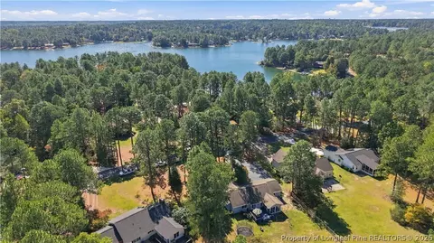 View/Area - 190 Firetree Ln, West End, NC 27376 photo 2 of 4