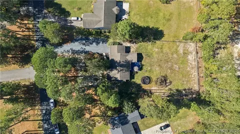 View/Area - 190 Firetree Ln, West End, NC 27376 photo 1 of 4