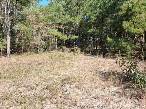 0 White, Oak, NC 28399 photo 30