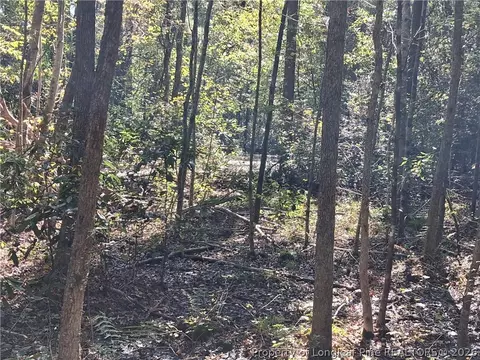 0 White, Oak, NC 28399 photo 37