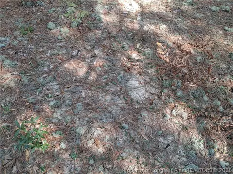 0 White, Oak, NC 28399 photo 27