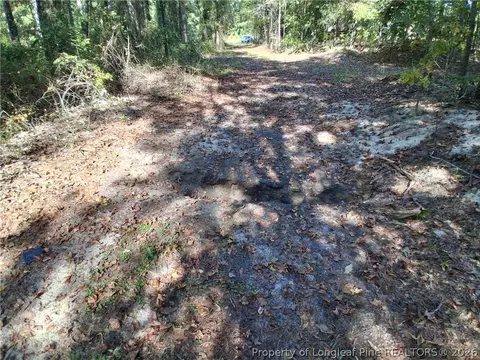 0 White, Oak, NC 28399 photo 39