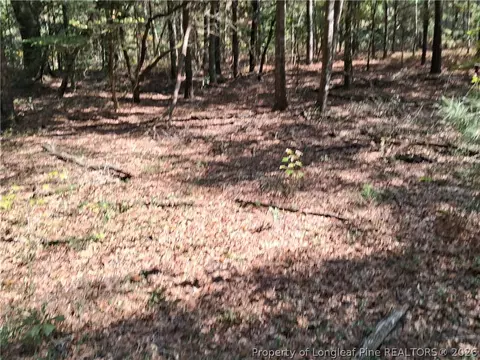 0 White, Oak, NC 28399 photo 23