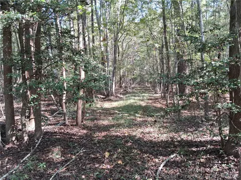 0 White, Oak, NC 28399 photo 7