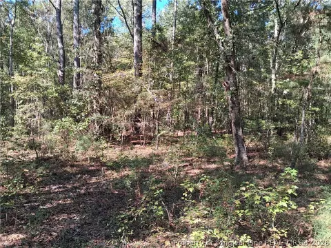 0 White, Oak, NC 28399 photo 25