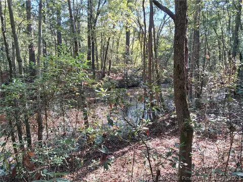 0 White, Oak, NC 28399 photo 10