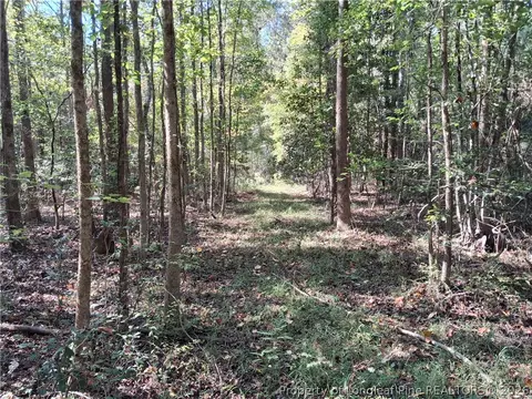 0 White, Oak, NC 28399 photo 8